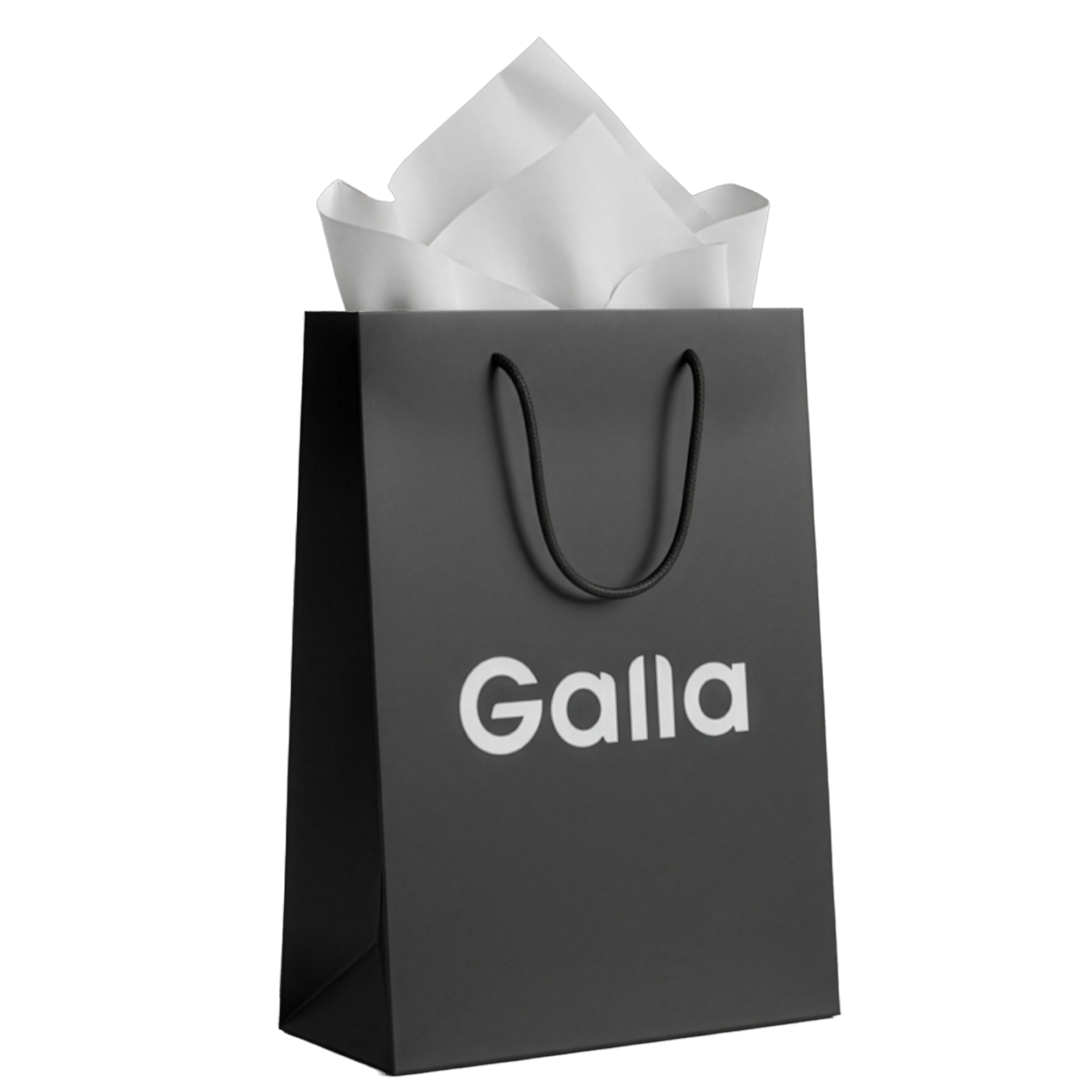 🎁 Galla Bag (100% off)